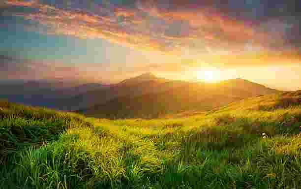 haloween test ambition