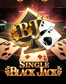 SLOTS - Single Black Jack