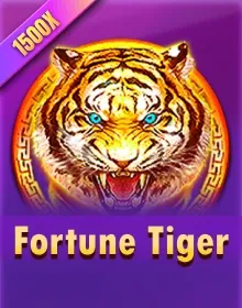 SLOTS - Fortune Tiger