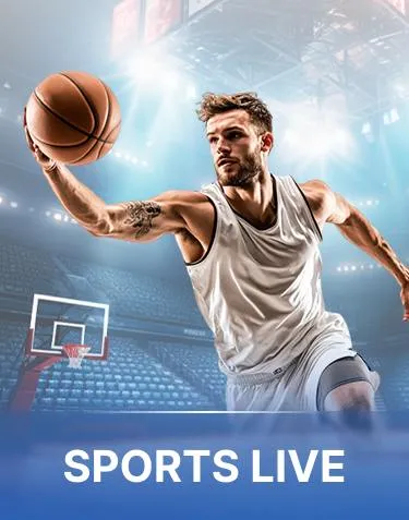 Roulette Online Game Casino - BASKETBALL