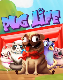 Popular Casino Games - Pug Life