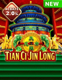 Popular Casino Games - Tian Ci Jin Long