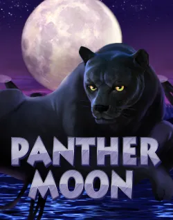 Online Slot Games - Panther Moon