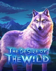Popular Casino Games - The Desire Of The Wild