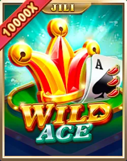 Popular Casino Games - Wild Ace