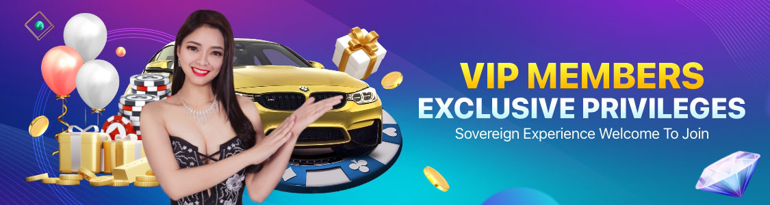 VIP Members Exclusive Privileges